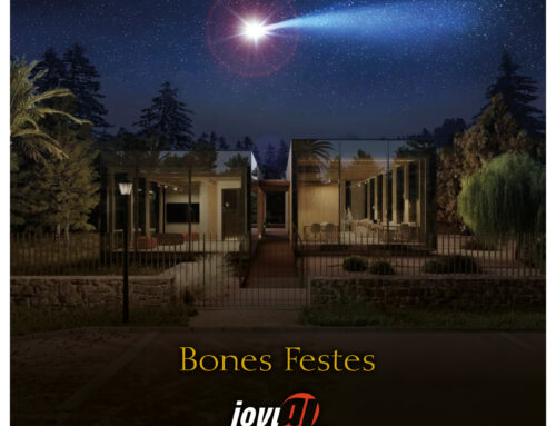 Bones festes